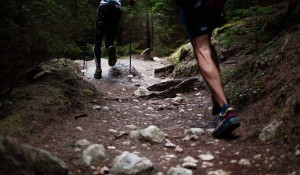 Koordination beim Trailrunning