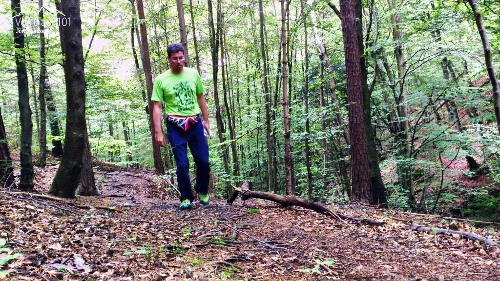 Im Wald gehen, für mich das Leben