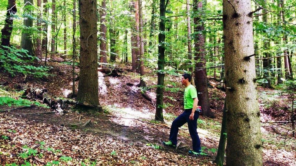 Rückschau, Gehen im Wald nach dem Hirnabszess