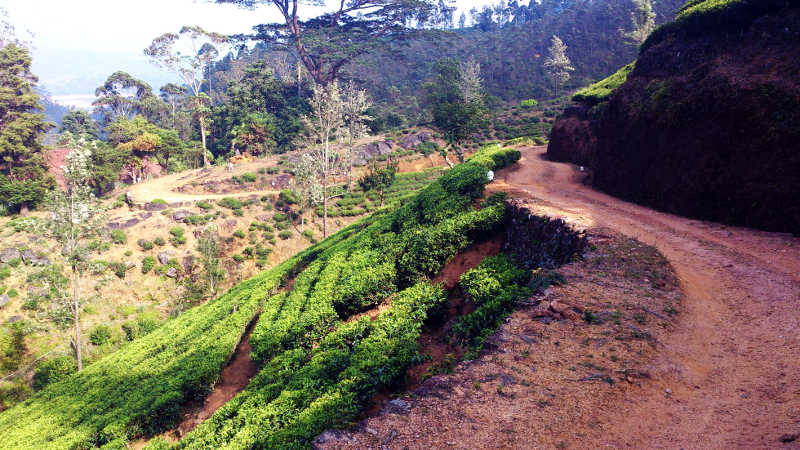 Delhouse, am Fuß des Adams Peak