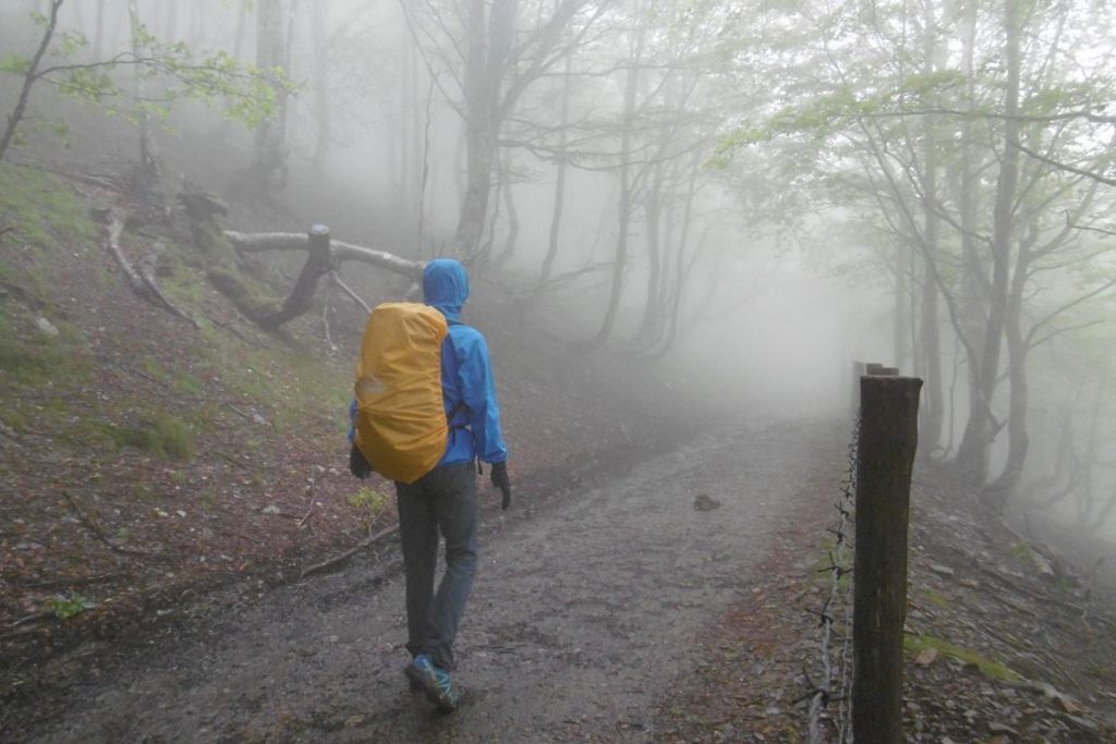 Unterwegs nach Roncesvalles