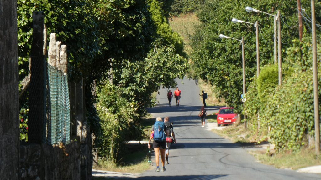 Erfahrungen am Camino