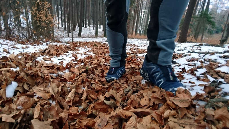 Sensomotorik, Fitness im Wald