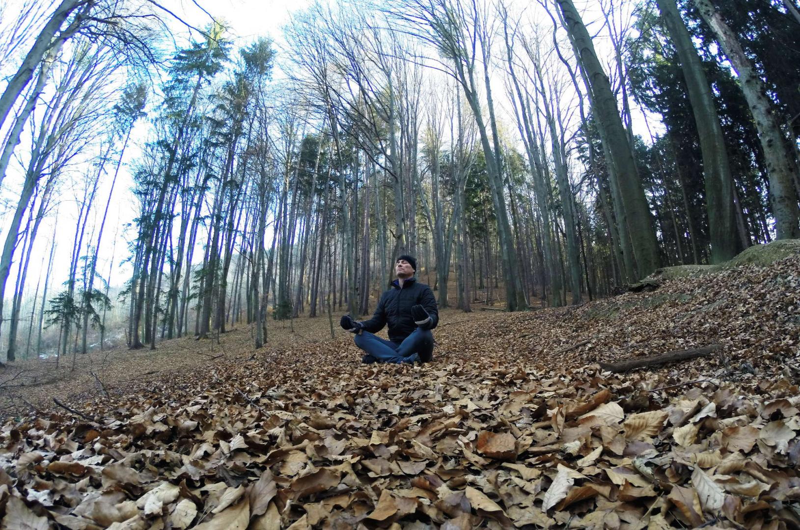 Ruhe im Wald
