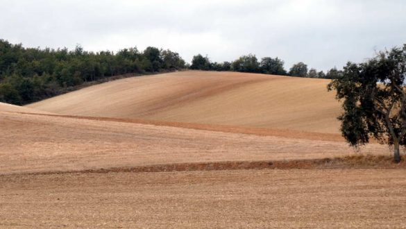 Wie wird der Wintercamino werden?
