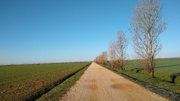 Meseta, Glücklichsein am Weg