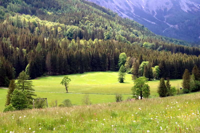 Von zu Hause weg Pilgern, um Leben zu lernen.
