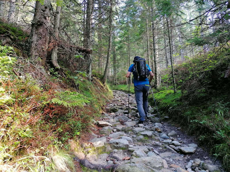 Am Mariazellerweg,
Therapie statt Leben lernen