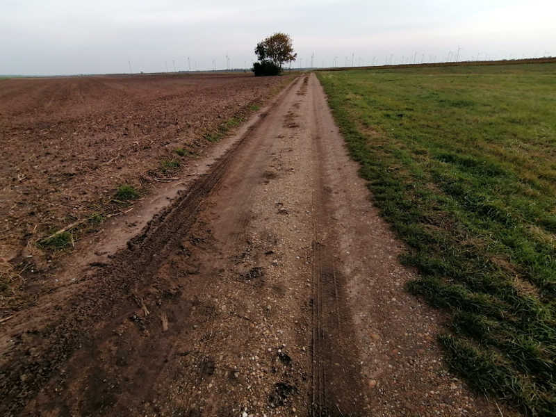 Die Meseta am Jakobsweg Burgenland 