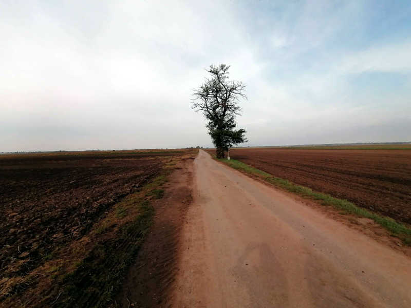 eseta am Jakobsweg Burgenland