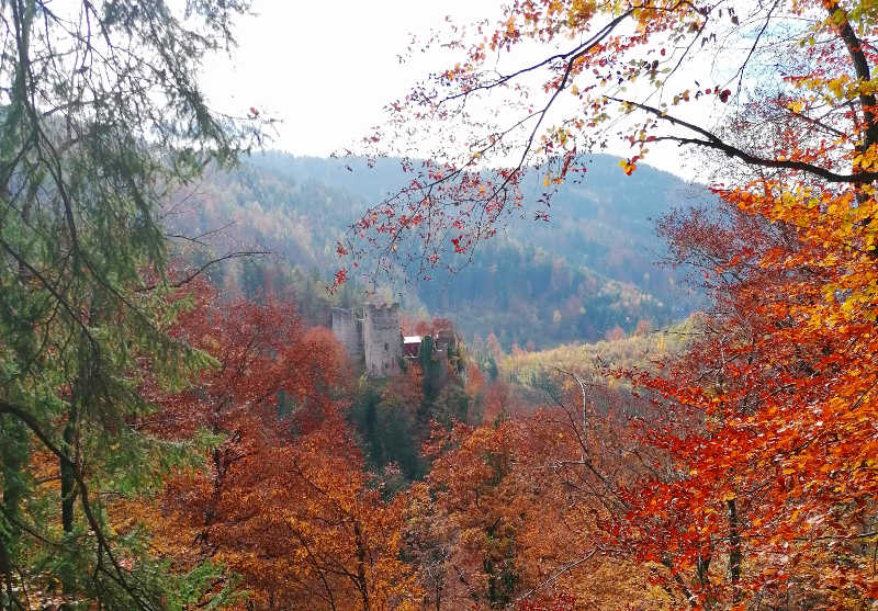 Burgruine Peggau im Herbst