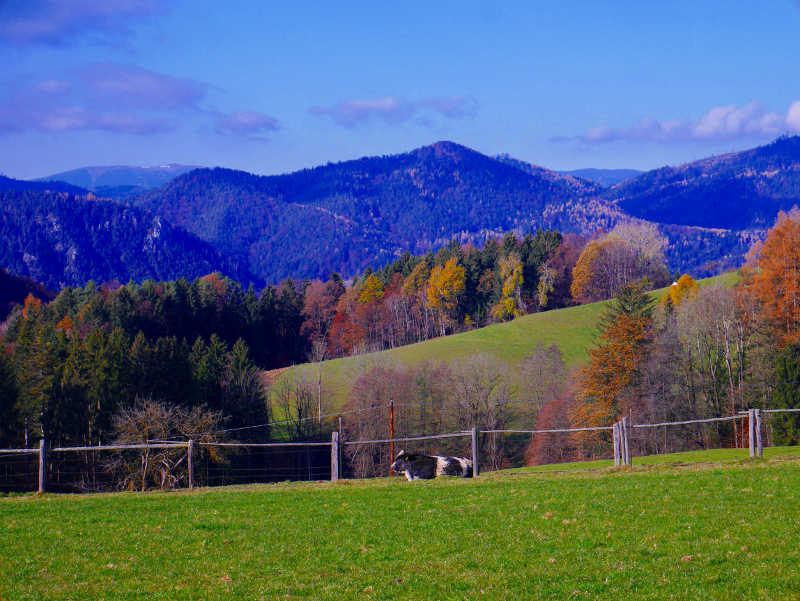 Natur im Lockdown