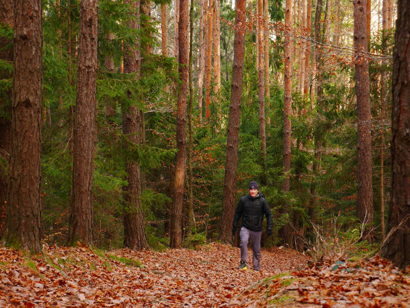 Im Wald beim Lockdown