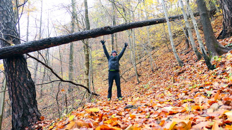 Rehabilitation im Wald