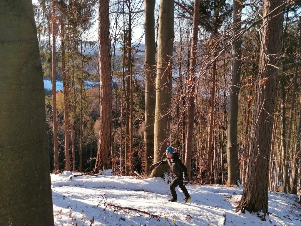 Gehen in der Natur