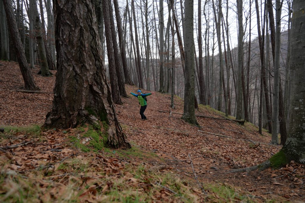 Gleichgewicht trainieren im Wald