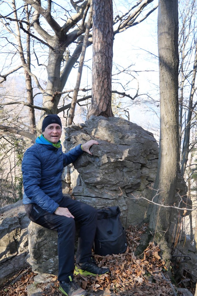 besonderer Baum