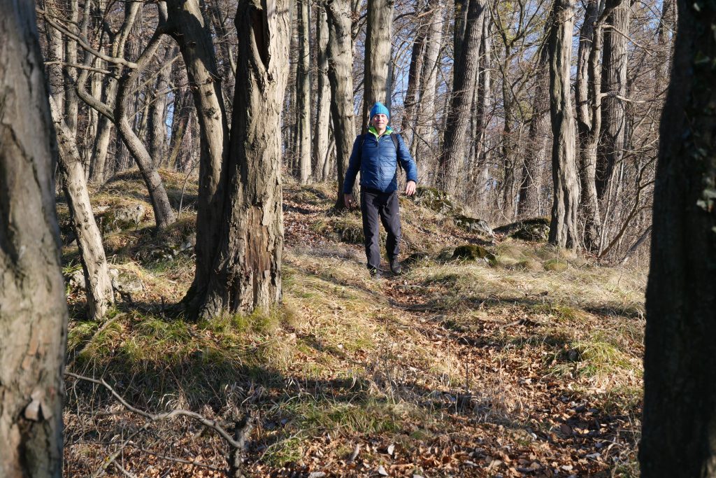 Gehen im Wald, gut fürs Gehirn