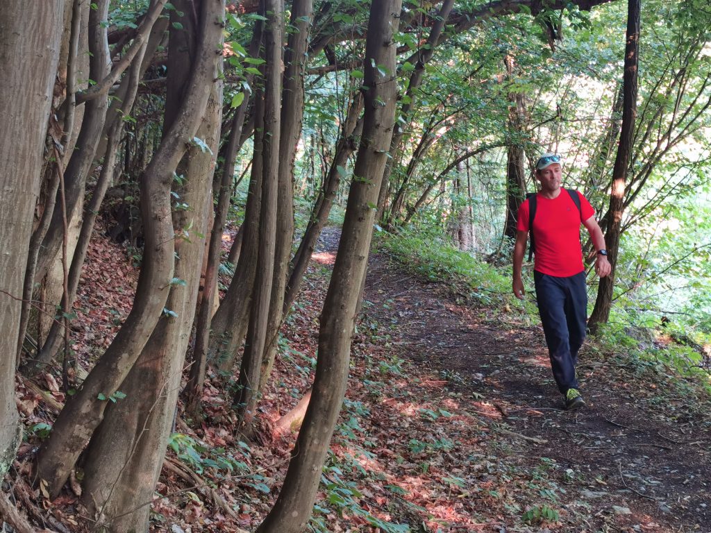 Gehen in der Natur