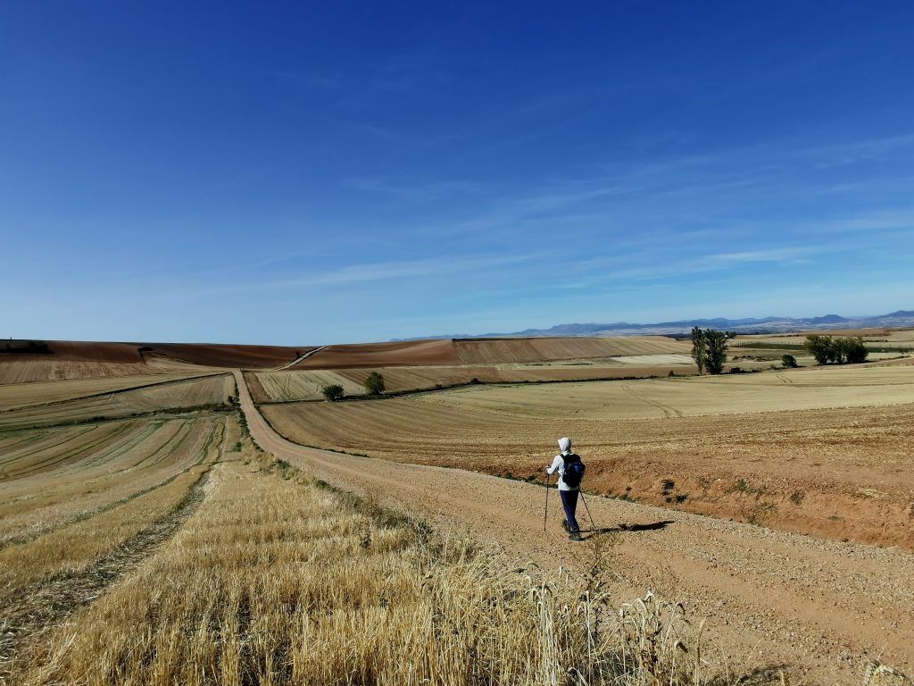 Lebensgefühl am Camino