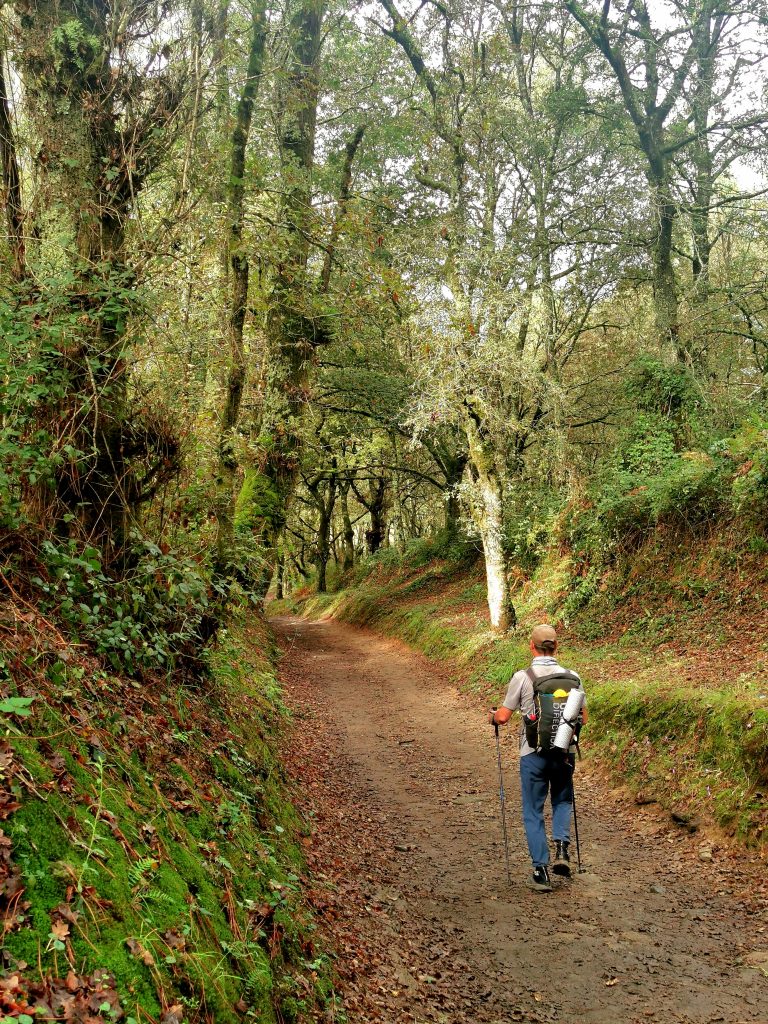 Lebensgefühl in der Natur am Camino