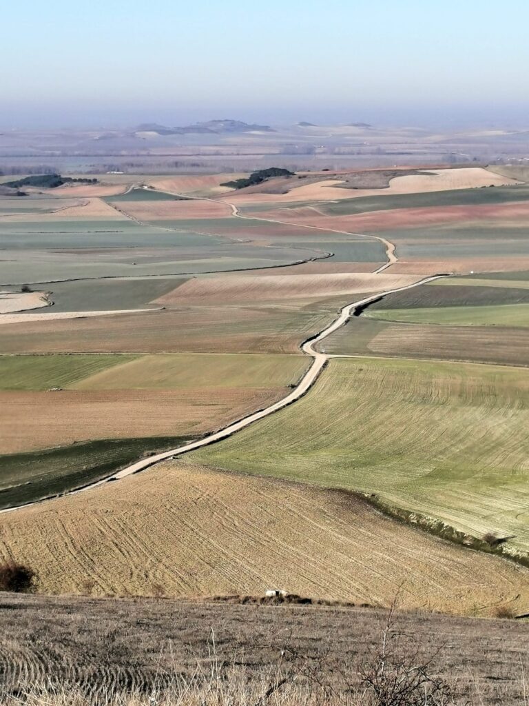 Meseta