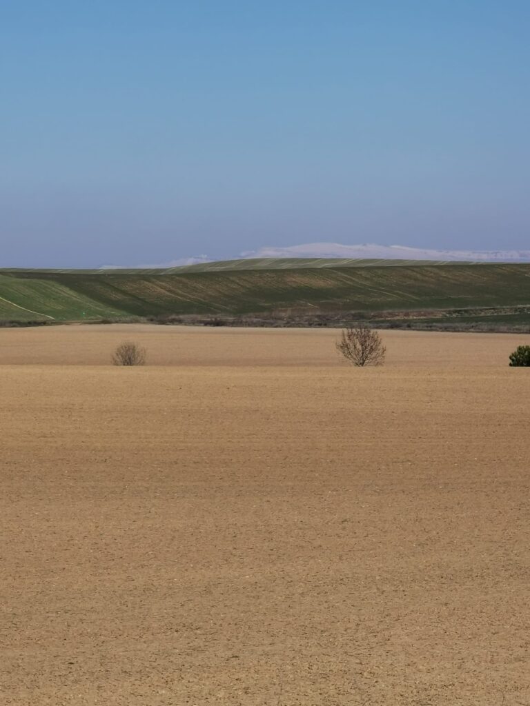 Meseta, im Hintergrund Schneeberge