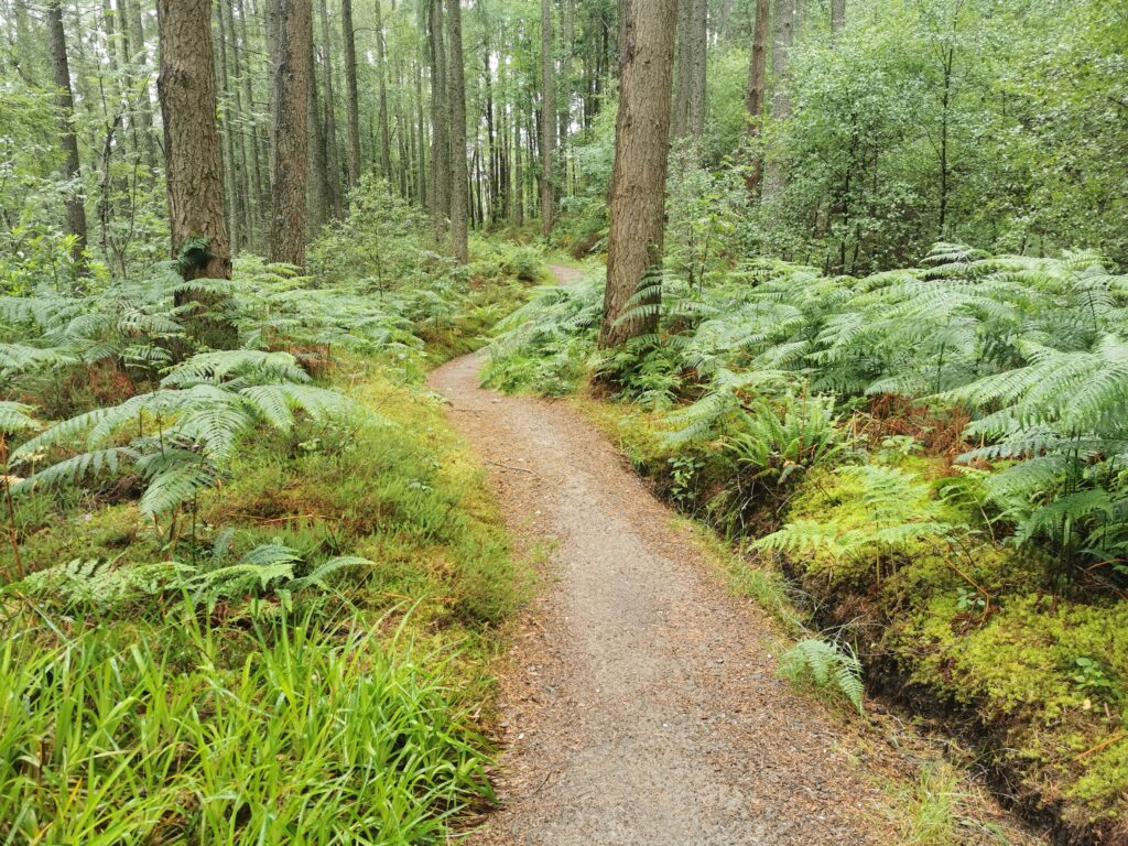 Natur am JOGLE 