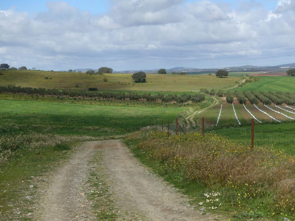 Via de la Plata