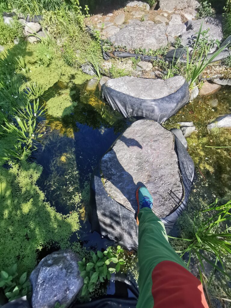 Training für den Hexatrek, Balance über die Steine