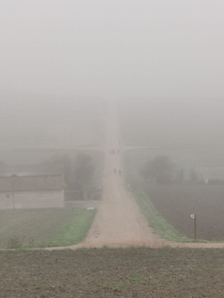 Camino Frances, mein Weg