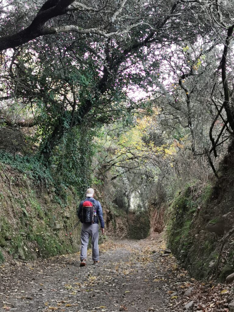 Camino Infernio