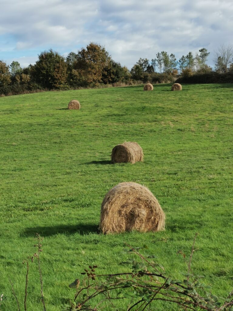 Camino Infernio