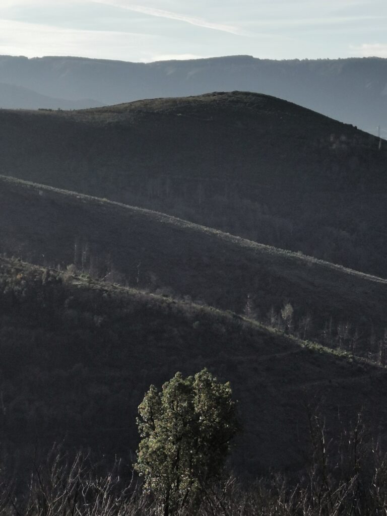Camino Invernio