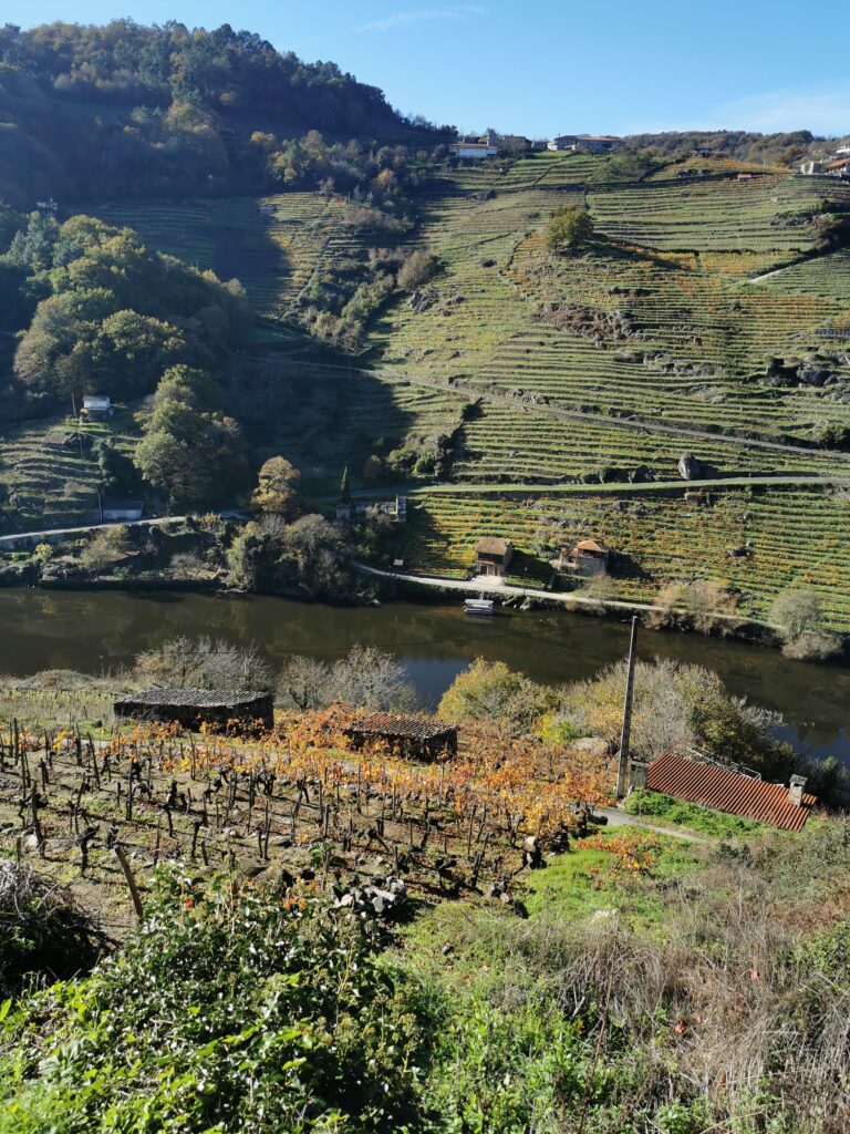 Camino Infernio