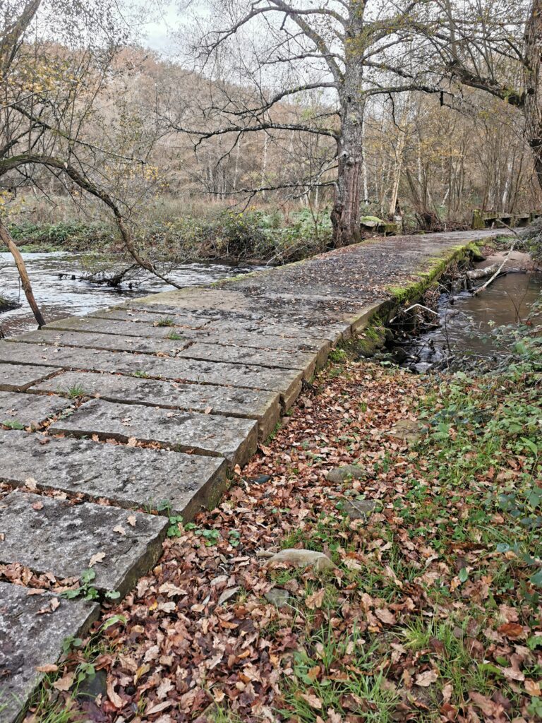 Camino Infernio