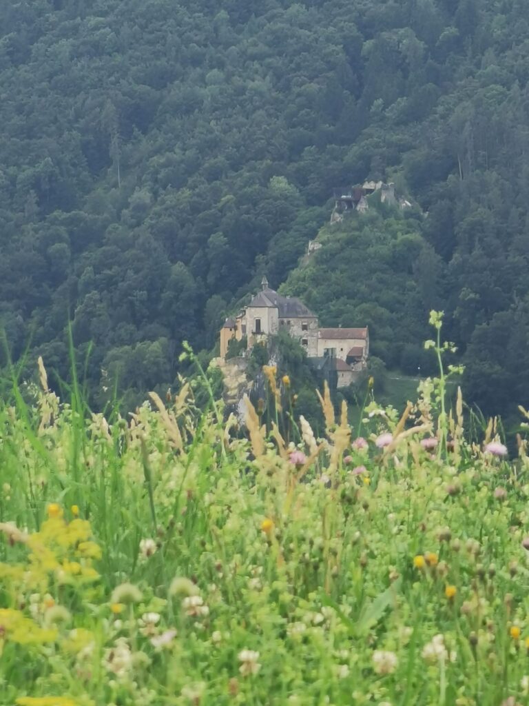 Schritt für Schritt, Gehen in der Natur