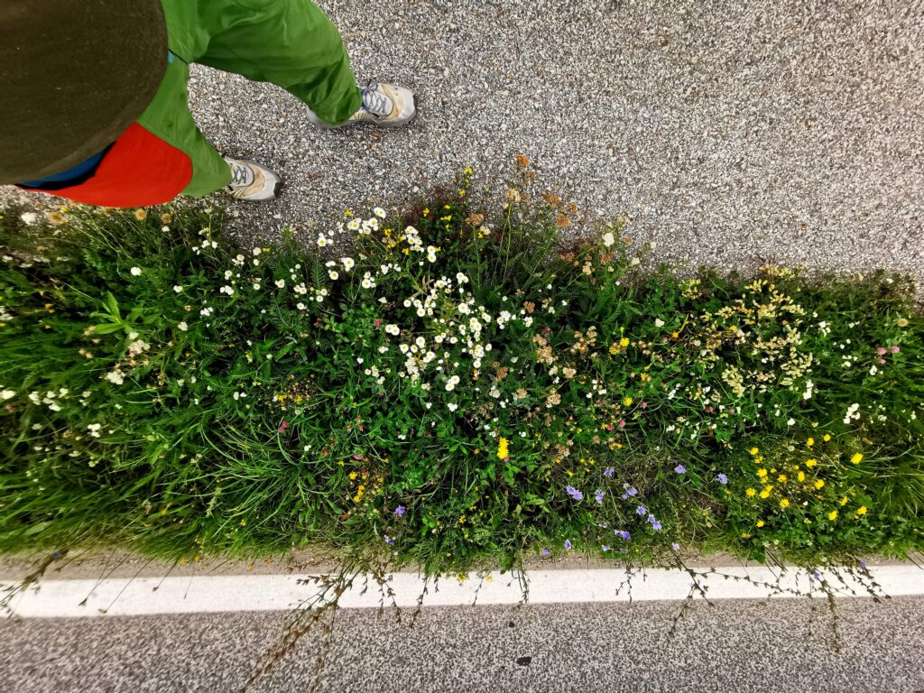 Schritt für Schritt