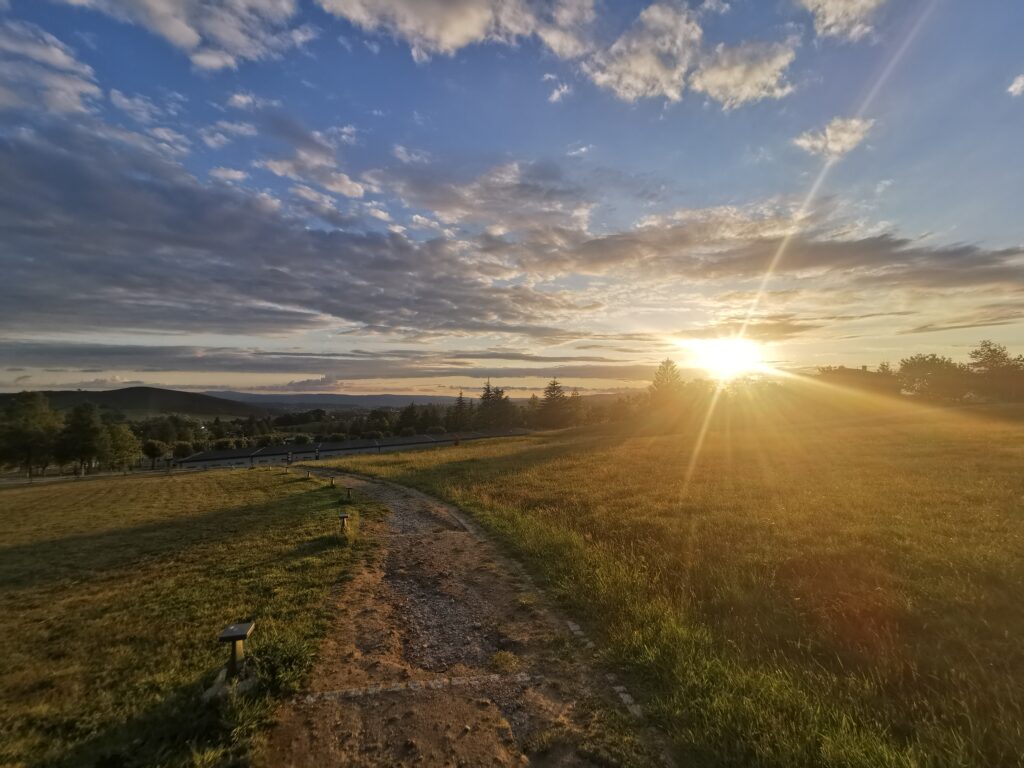 Ein schmaler Wanderweg im Morgenlicht, von Bäumen gesäumt – still und friedlich.