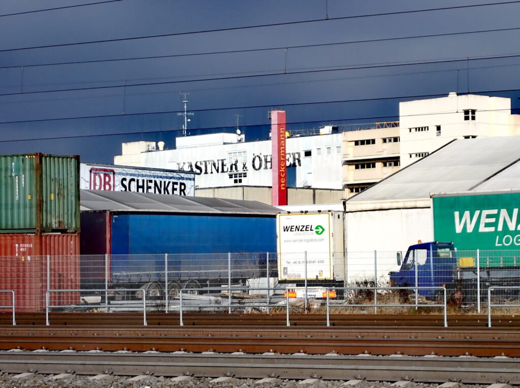 Einkaufen nach Hirnabszess