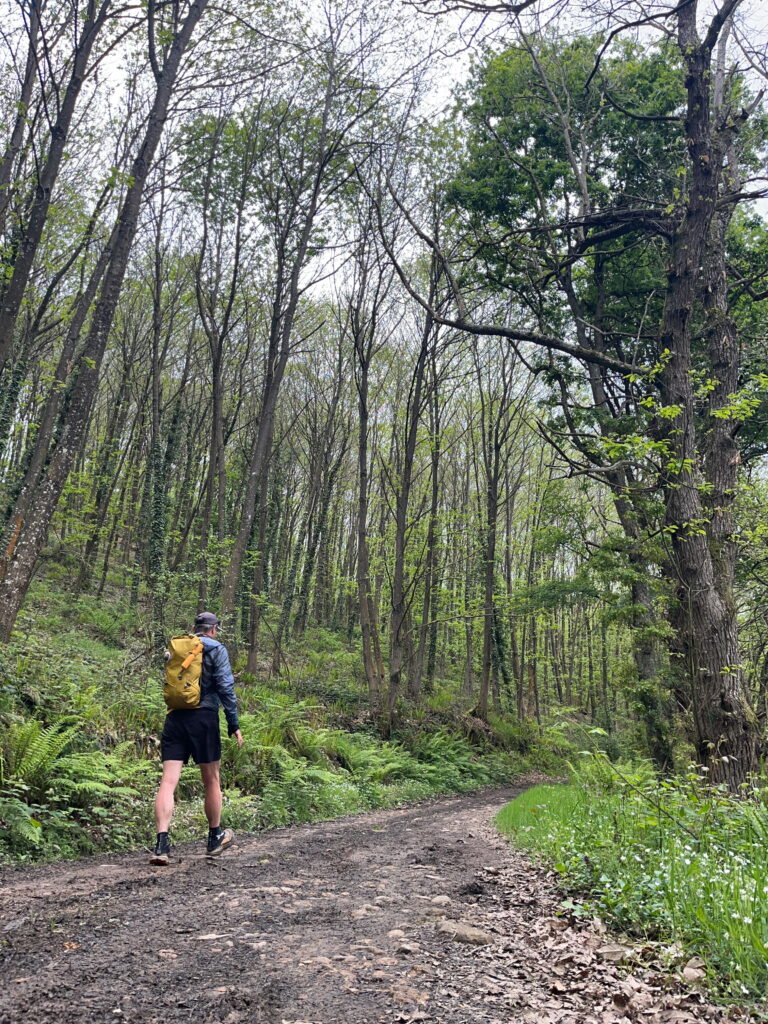 Im Gehen bleiben. Pilgern am Camino Norte und Camino Primitivo