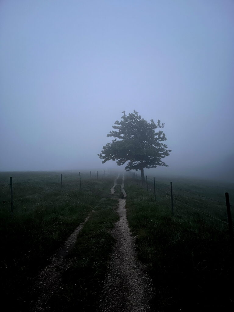 Pilgern am Camino Norte und Camino Primitivo