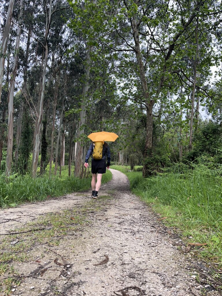 Camino Norte und Camino Primitivo
