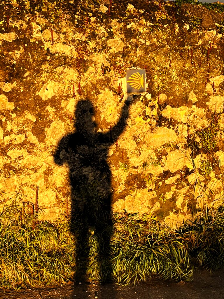 am Camino Norte und Camino Primitivo 