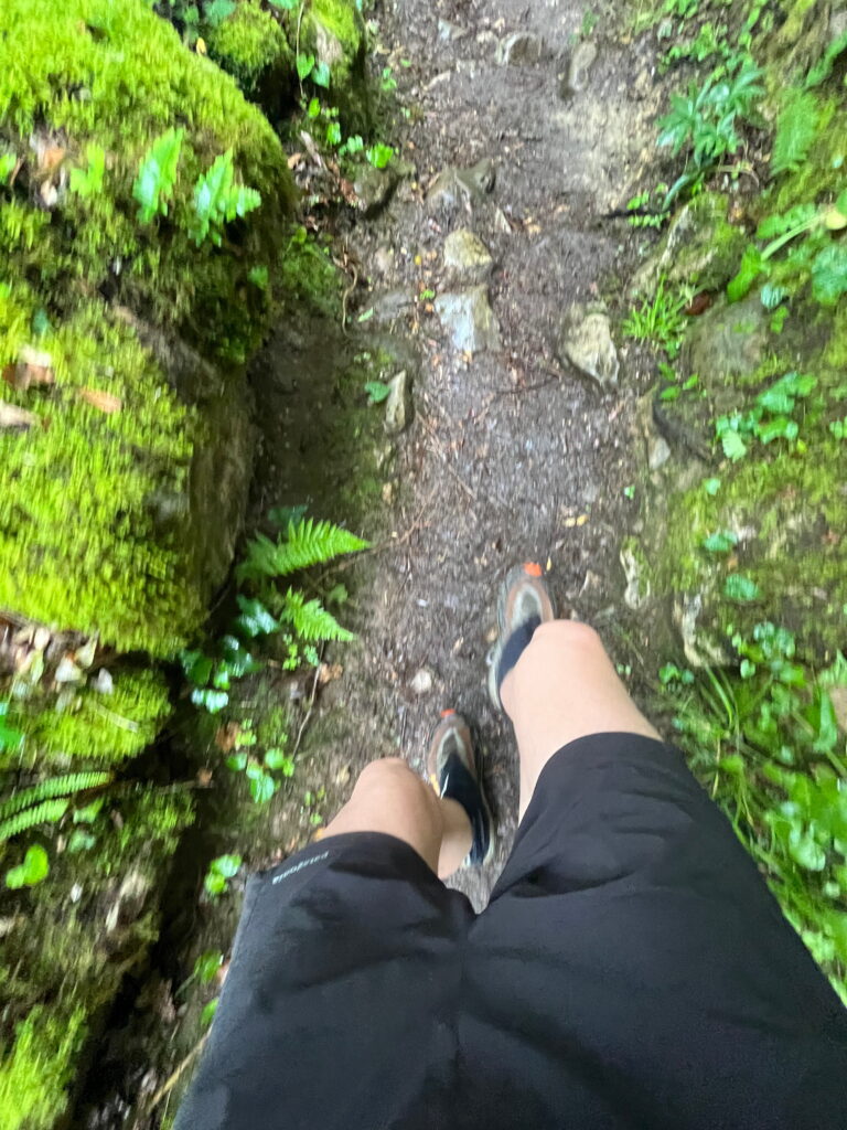 Gehen am Camino Primitivo