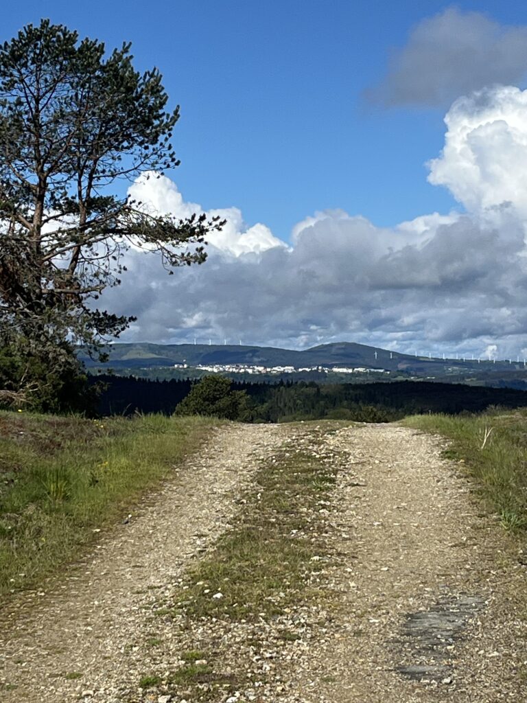in den Bergen am Camino Primitivo