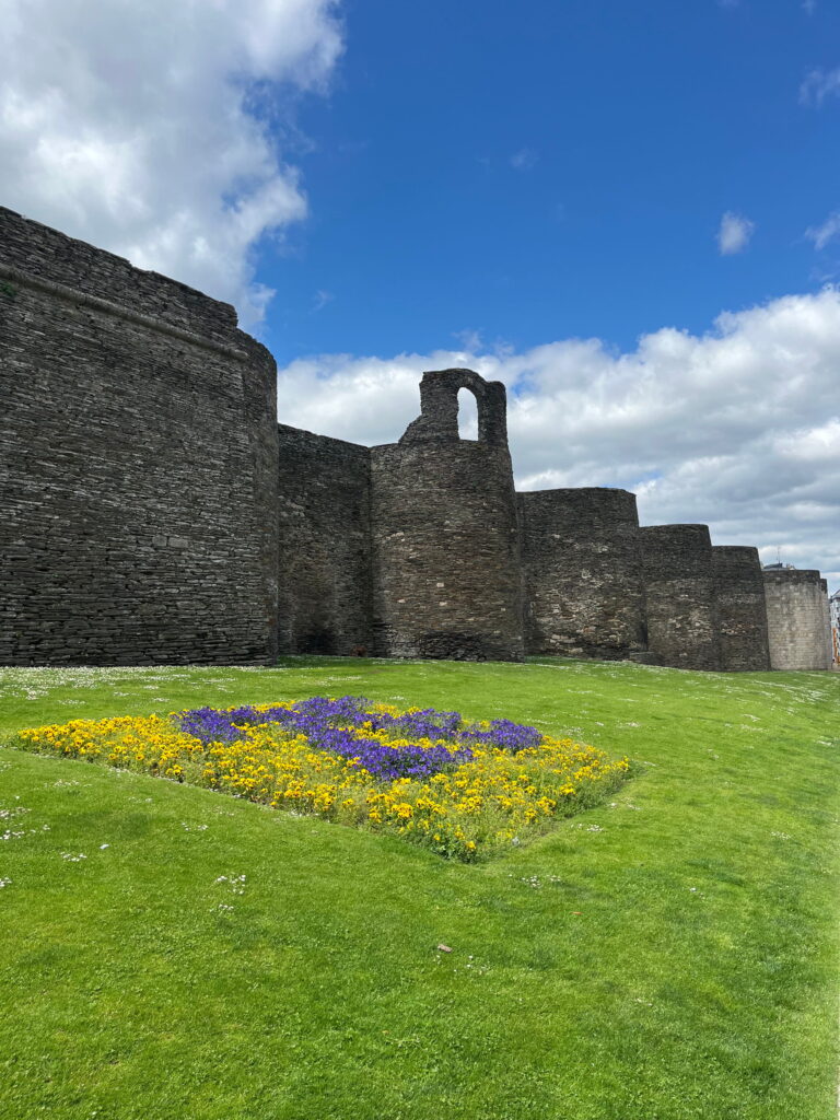 Lugo, Camino Primitivo