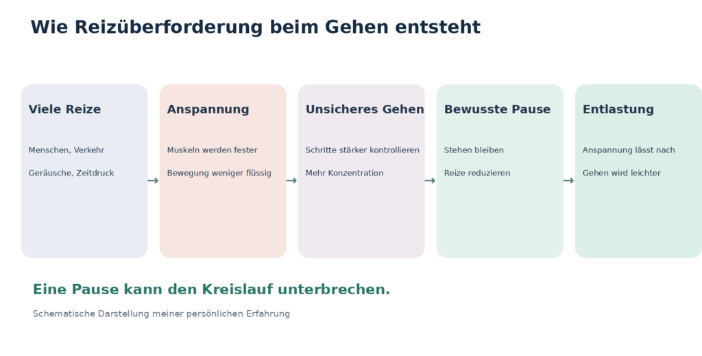 Leben nach einem Hirnabszess, Reizüberforderung